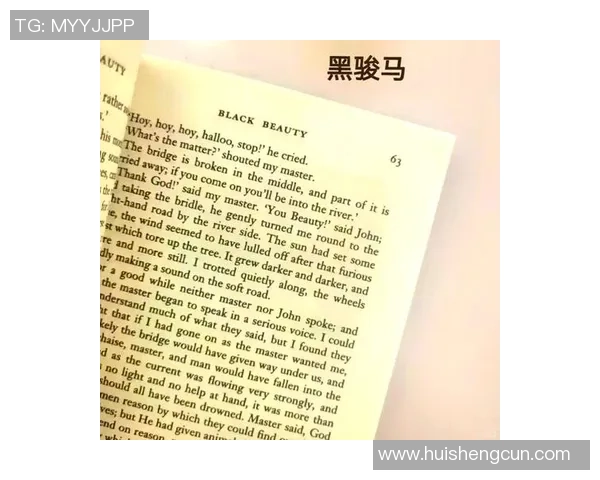 最牛救球足球明星背后的传奇故事与精彩瞬间揭秘